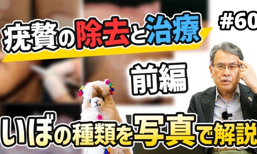 甘瓜子的功效与作用-甘瓜功效与作用网- 甘瓜是什么瓜图片知识,分享甘瓜功效与作用是什么